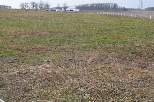 Property photo 52 - 98+/- Acres Offered in 6 Tracts or Combinations, Noble County, Indiana Farm